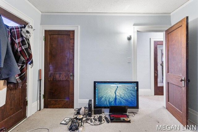 186 W 12th St, Holland, MI 49423 - bedroom with crown molding, a textured ceiling, and carpet floors