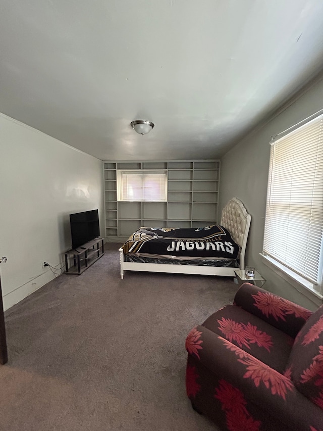 bedroom featuring carpet flooring