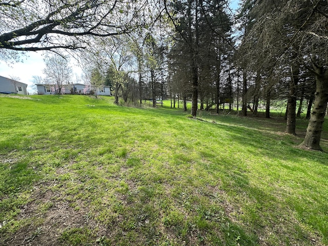 1088 Kern Rd, Fowlerville, MI 48836 - view of grassy yard
