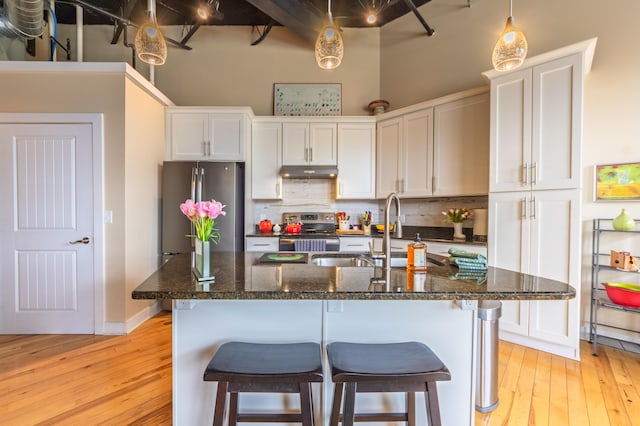 kitchen with a sink, appliances with stainless steel finishes, under cabinet range hood, and light wood-style floors