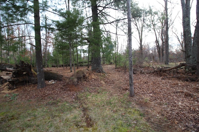 view of nature with a view of trees