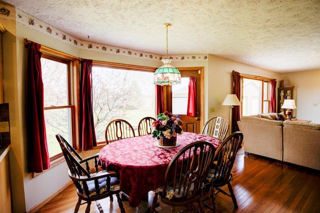 1414 Plains Rd, Leslie, MI 49251 - dining space with hardwood / wood-style floors, a healthy amount of sunlight, and a textured ceiling