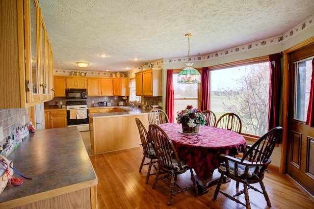 1414 Plains Rd, Leslie, MI 49251 - dining room featuring a textured ceiling and light wood-type flooring