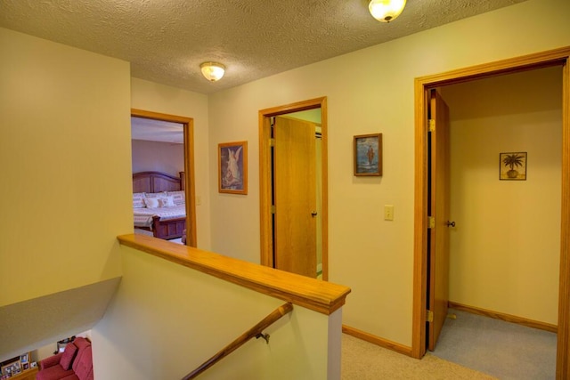 1414 Plains Rd, Leslie, MI 49251 - hall with baseboards, light carpet, and a textured ceiling
