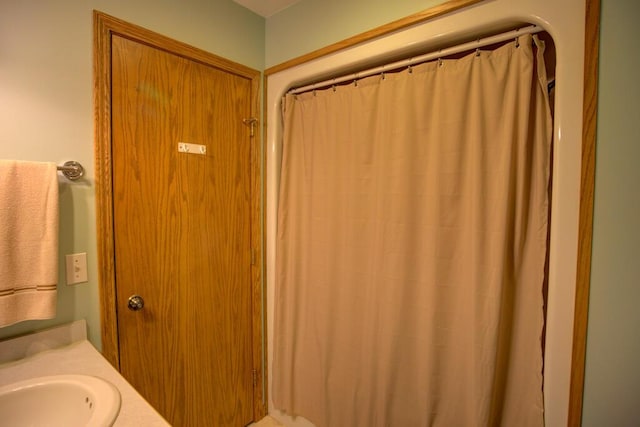 1414 Plains Rd, Leslie, MI 49251 - bathroom featuring a sink and a shower with shower curtain