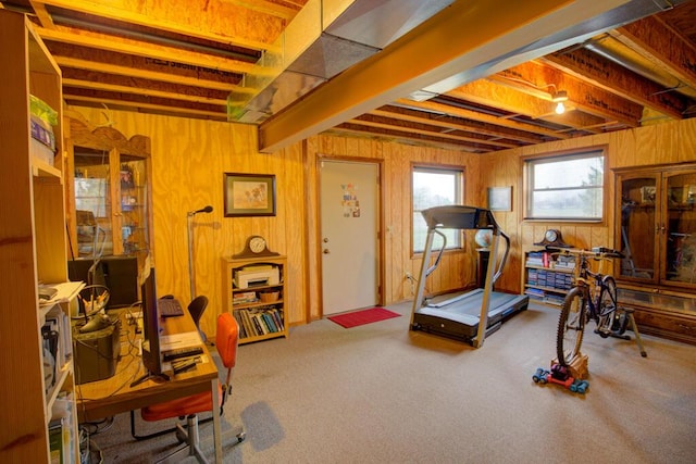 1414 Plains Rd, Leslie, MI 49251 - workout room with wooden walls and carpet floors