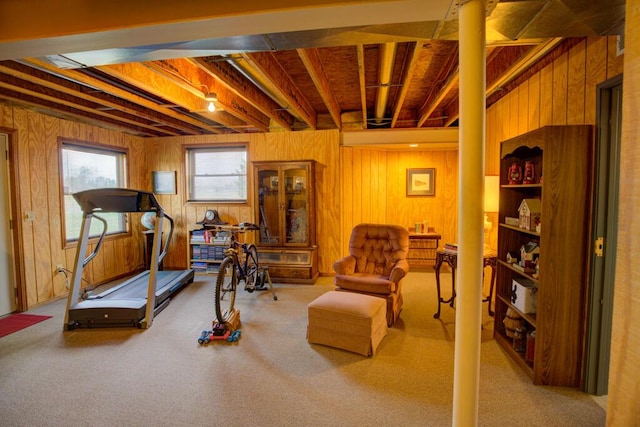 1414 Plains Rd, Leslie, MI 49251 - exercise room featuring wood walls and carpet floors