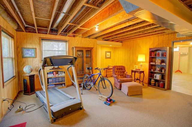 1414 Plains Rd, Leslie, MI 49251 - workout area with wooden walls and carpet