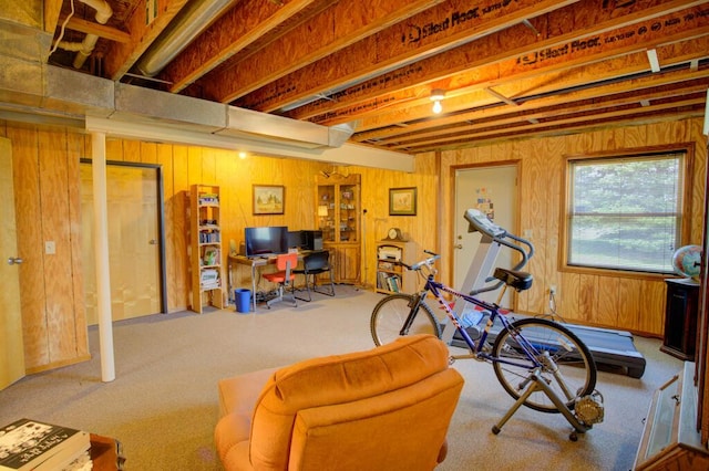 1414 Plains Rd, Leslie, MI 49251 - exercise area with wood walls and carpet