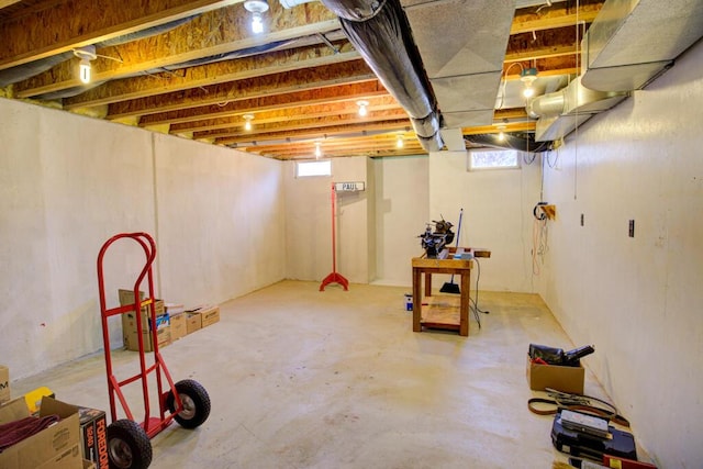 1414 Plains Rd, Leslie, MI 49251 - below grade area with a wealth of natural light