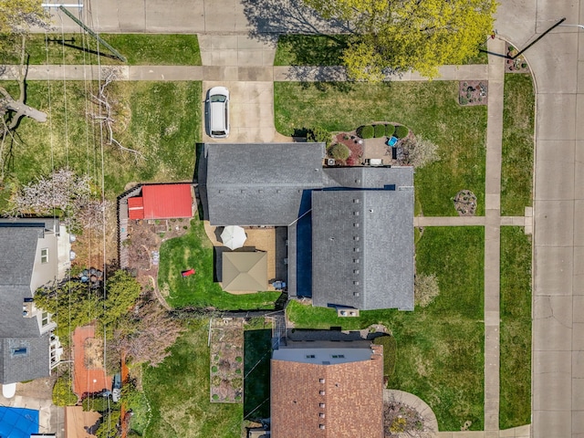 bird's eye view