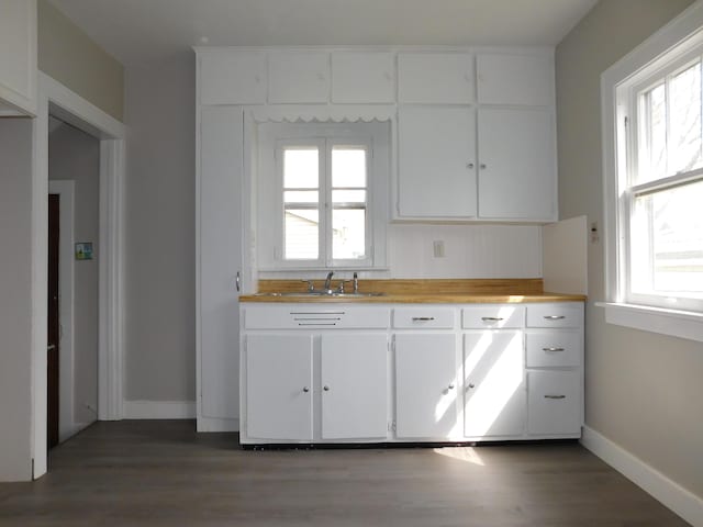 kitchen with baseboards, wood finished floors, a wealth of natural light, and a sink