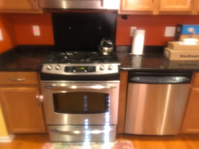1130 Andover Cir, Commerce Twp, MI 48390 - kitchen featuring stainless steel appliances