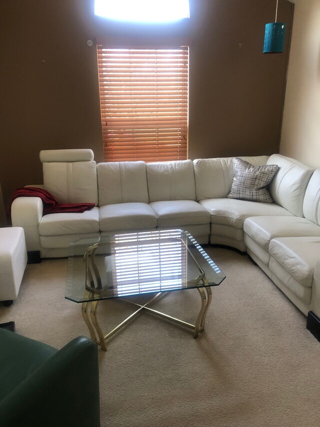 1130 Andover Cir, Commerce Twp, MI 48390 - view of carpeted living room