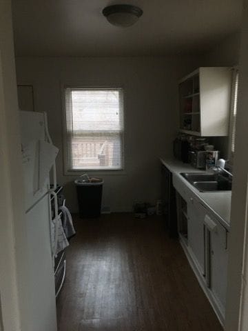 508 Lexington Ave, East Lansing, MI 48823 - kitchen featuring dark wood-type flooring, a sink, open shelves, and light countertops