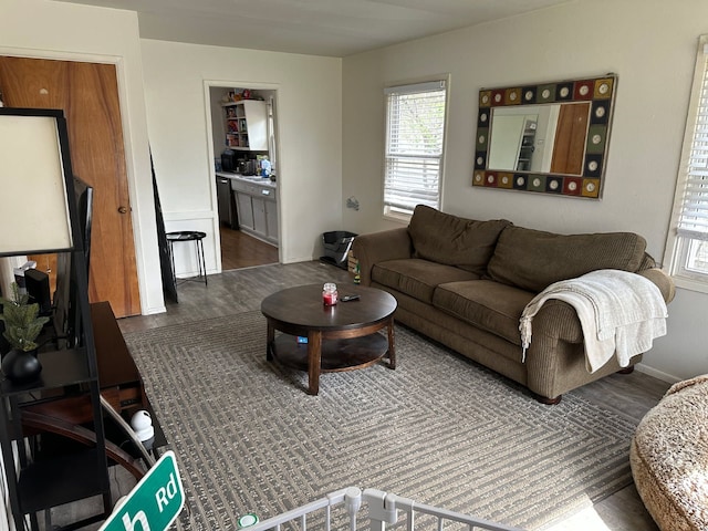 508 Lexington Ave, East Lansing, MI 48823 - living room with dark wood-type flooring and baseboards