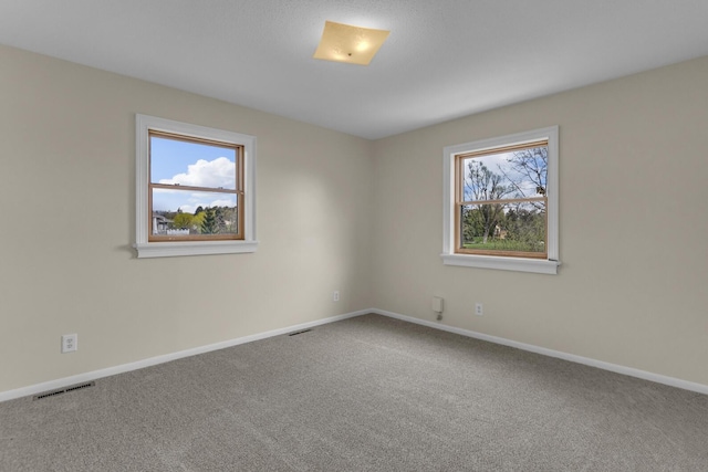 9315 Kingsley Dr, Onsted, MI 49265 - carpeted spare room with visible vents, a wealth of natural light, and baseboards