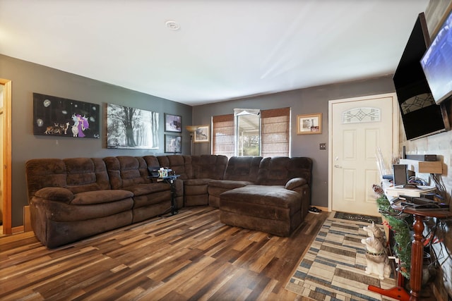 living room featuring wood finished floors