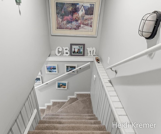 staircase with carpet floors