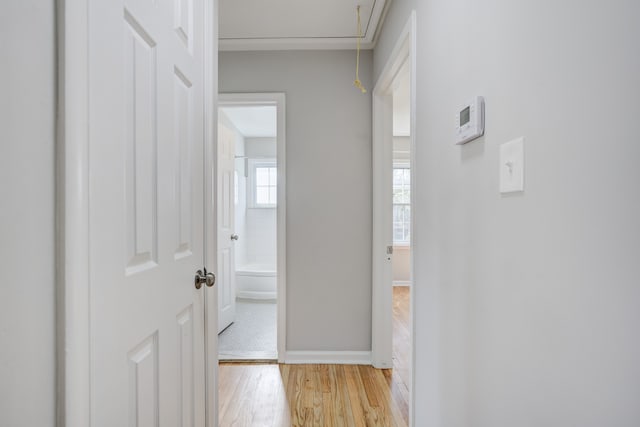 hall featuring baseboards, light wood-style flooring, and attic access