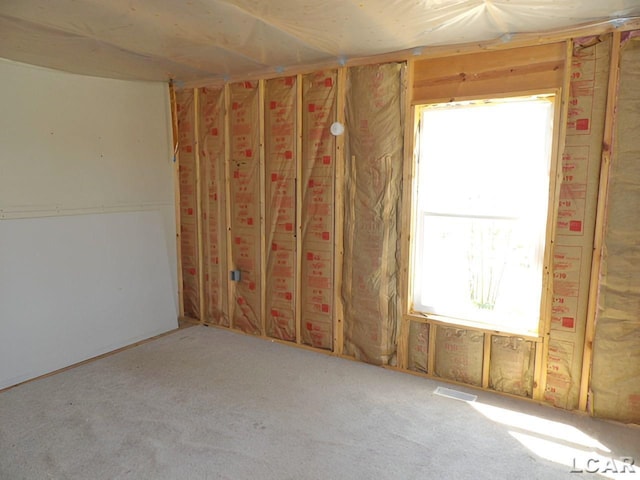 7640 S Lake Pleasant Rd, Osseo, MI 49266 - spare room with carpet floors and a healthy amount of sunlight