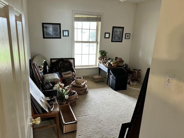 living area featuring baseboards and carpet flooring