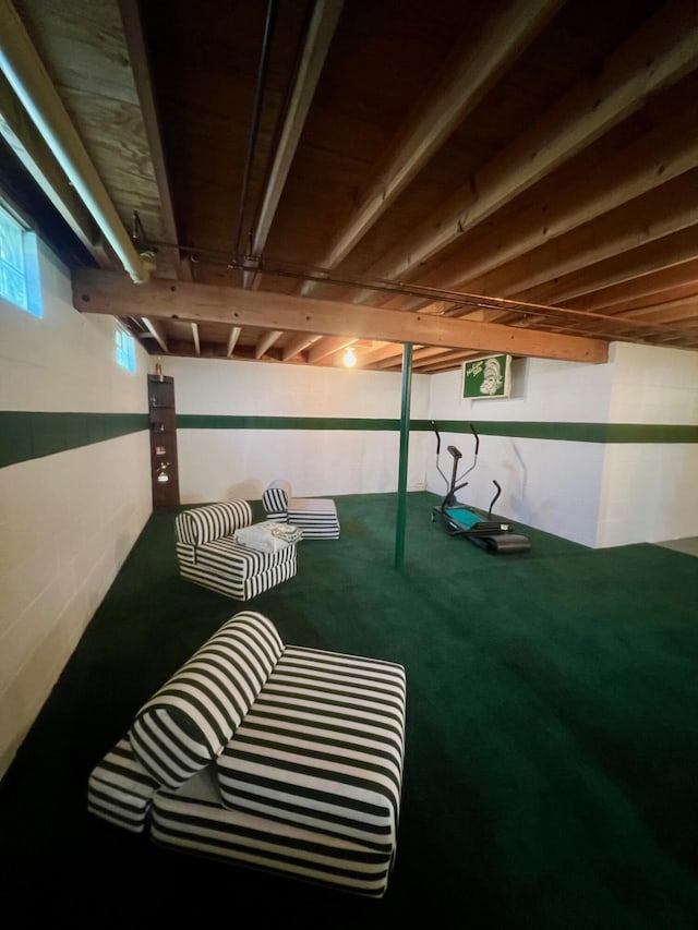 view of basement