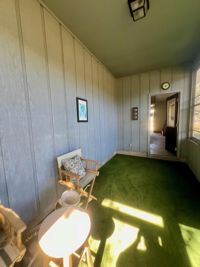 sitting room with carpet flooring