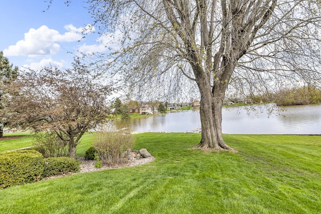 9015 Kingsley Dr, Onsted, MI 49265 - water view