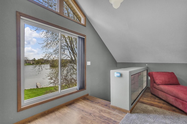9015 Kingsley Dr, Onsted, MI 49265 - additional living space with baseboards, wood finished floors, a water view, and lofted ceiling