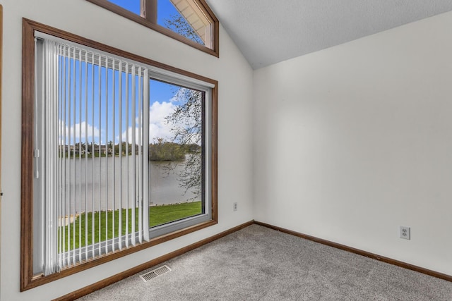 9015 Kingsley Dr, Onsted, MI 49265 - spare room featuring lofted ceiling, visible vents, carpet, and baseboards