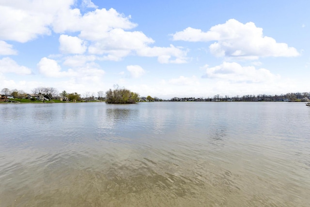 9015 Kingsley Dr, Onsted, MI 49265 - view of water feature