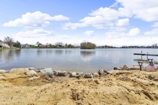 9015 Kingsley Dr, Onsted, MI 49265 - property view of water