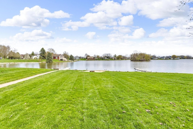 9015 Kingsley Dr, Onsted, MI 49265 - view of water feature