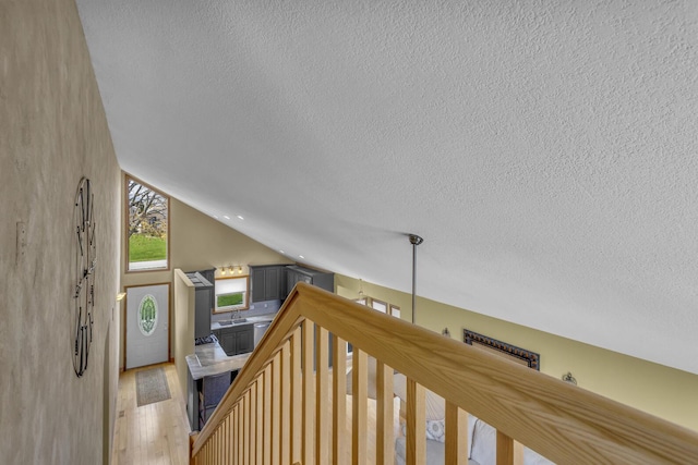 9015 Kingsley Dr, Onsted, MI 49265 - bonus room with a textured ceiling, light wood-style floors, and a sink