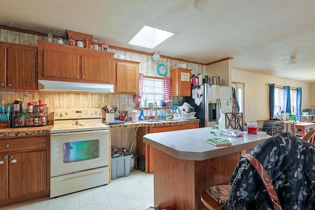 22 N Bossett Rd, Ravenna, MI 49451 - kitchen with under cabinet range hood, stainless steel fridge, a skylight, electric range, and light floors