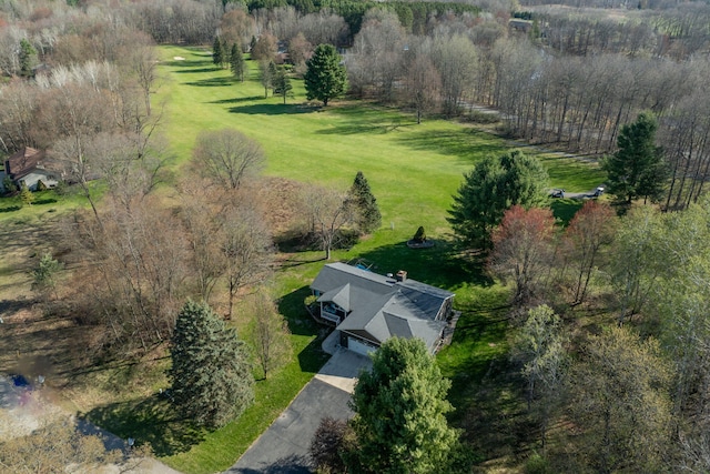 7364 Regency Ln, Canadian Lakes, MI 49346 - aerial view