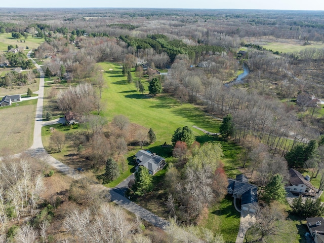 7364 Regency Ln, Canadian Lakes, MI 49346 - bird's eye view featuring a forest view