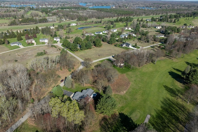 7364 Regency Ln, Canadian Lakes, MI 49346 - drone / aerial view