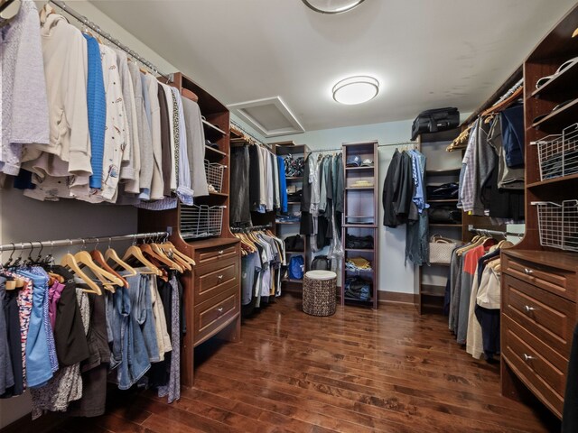 3190 Edgewood Park Dr, Commerce Twp, MI 48382 - walk in closet featuring attic access and dark wood-style floors