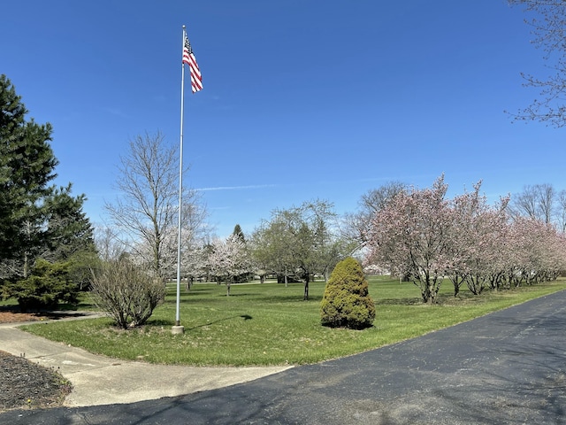 331 Jonesville Rd, Jonesville, MI 49250 - view of home's community featuring a yard