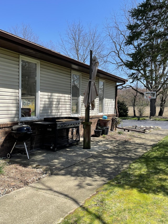 331 Jonesville Rd, Jonesville, MI 49250 - view of side of home with brick siding and a patio area
