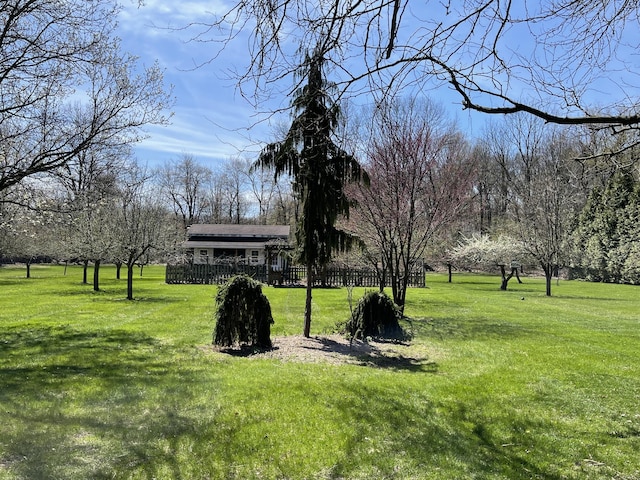 331 Jonesville Rd, Jonesville, MI 49250 - view of yard