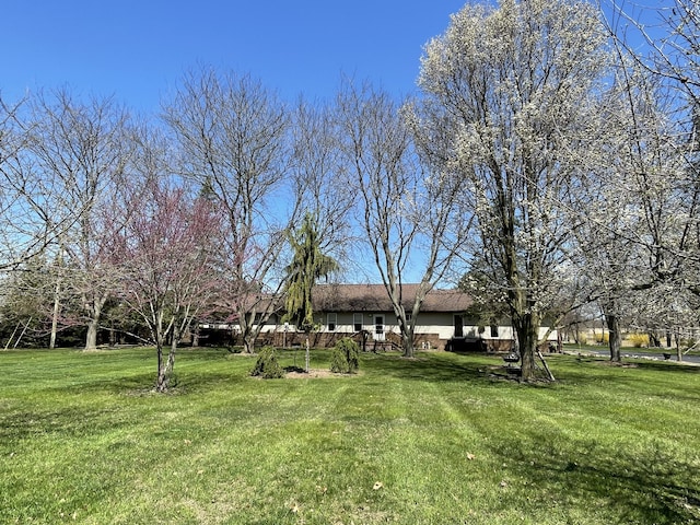 331 Jonesville Rd, Jonesville, MI 49250 - view of yard
