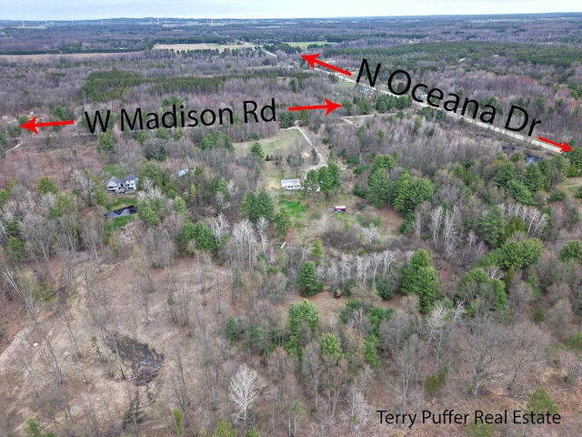 3345 W Madison Rd, Hart, MI 49420 - photo 40