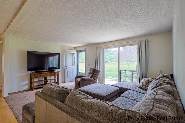 3345 W Madison Rd, Hart, MI 49420 - photo 12