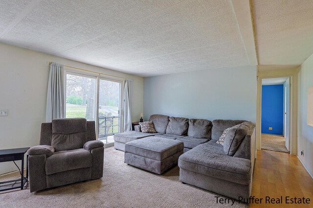 3345 W Madison Rd, Hart, MI 49420 - photo 13