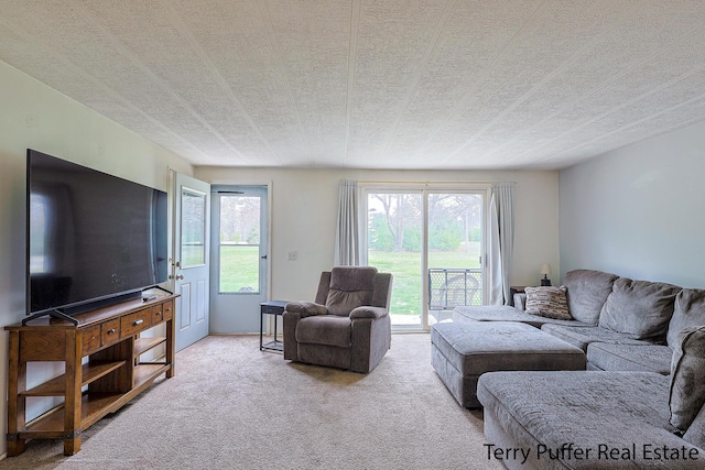 3345 W Madison Rd, Hart, MI 49420 - photo 14