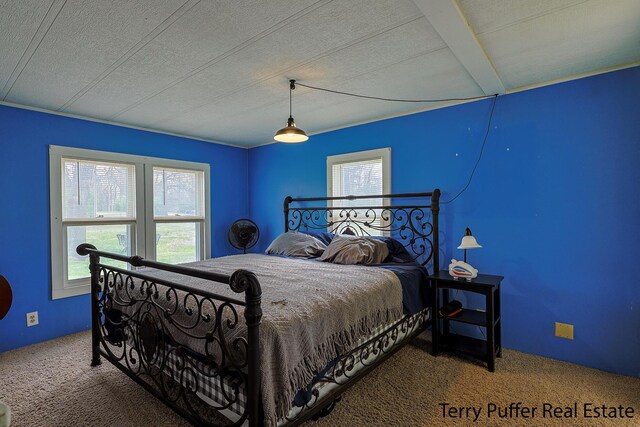 3345 W Madison Rd, Hart, MI 49420 - photo 16