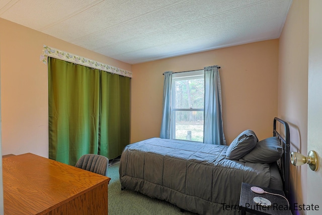 3345 W Madison Rd, Hart, MI 49420 - photo 20
